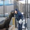 Marine mammals. (Picture of Rebecca)
