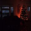 Early morning hours. Waking up to snow in Portland is ... a first.  Luckily we'd just put up our xmas tree the night before!