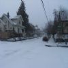 My walk to the bus, so pretty.