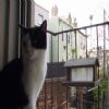 You SAID there'd be birds here. LIAR.