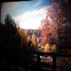 This shot is taken from the balcony. It shows the hill leading down to the lake. All of the property that you see in this photo is ours.