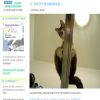 Commodore made it on to cuteoverload.com by being overloadingly cute.